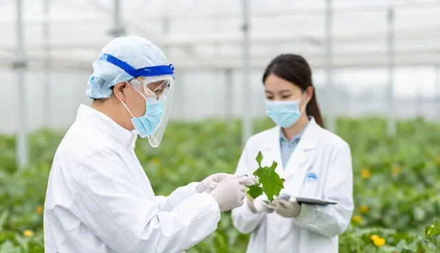 慢性病管理方案实施中的两种做法对比